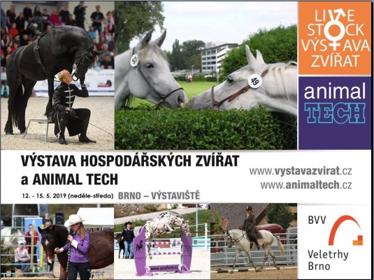 Výstava koní při veletrhu Animal TECH Brno
