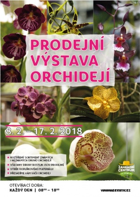 Prodejní výstava orchidejí