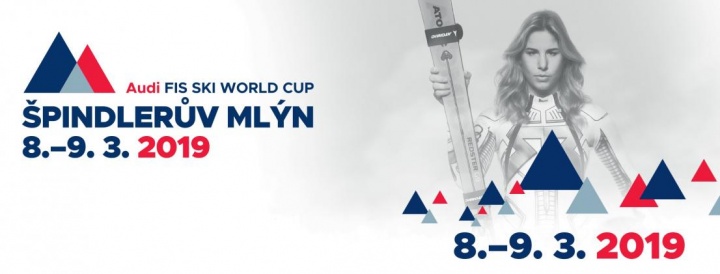 Světový pohár žen ve sjezdovém lyžování 2019