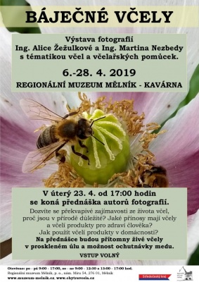 Výstava Báječné včely - Muzejní kavárna Regionálního muzea v Mělníce