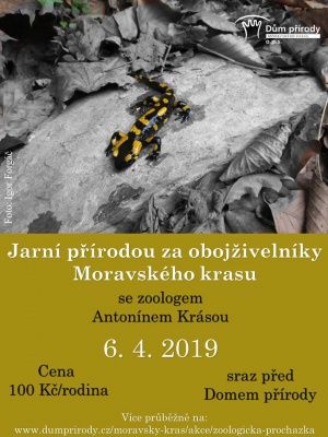 Jarní přírodou za obojživelníky Moravského krasu