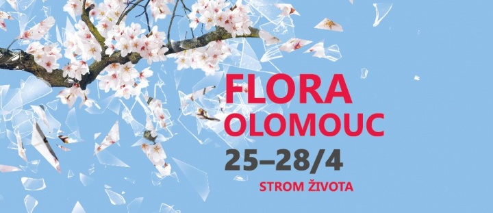 Flora Olomouc 2019