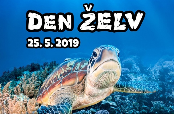 Den želv v Zoo Brno