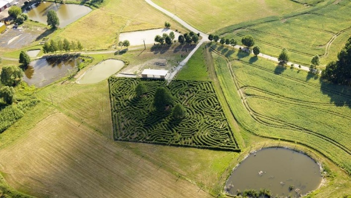 Obludiště - největší keřový labyrint ve Střední Evropě