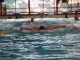 Krytý bazén Sareza