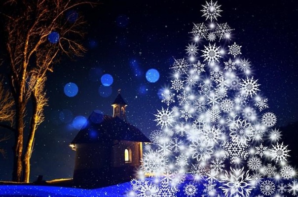 Rozsvěcení vánočního stromu Týnec nad Sázavou