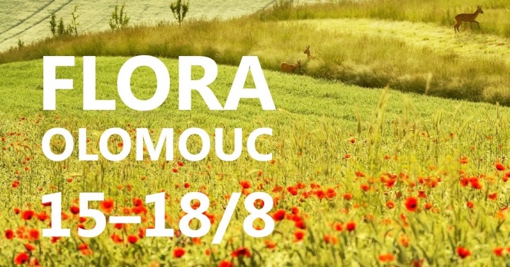 Letní Flora Olomouc 2019