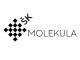 Klub Molekula