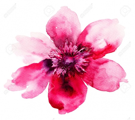 Výtvarný ateliér Akvarel -  květiny a kytice