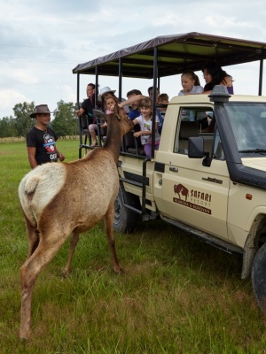 Safari Resort Hluboká u Borovan