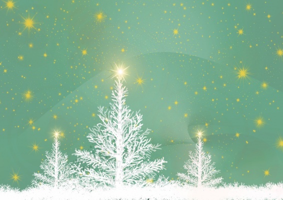 Rozsvícení vánočního stromu a Advent na kolonádě