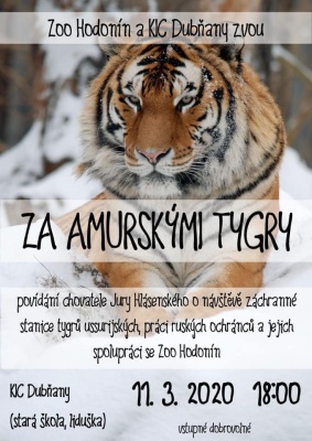 Za Amurskými tygry