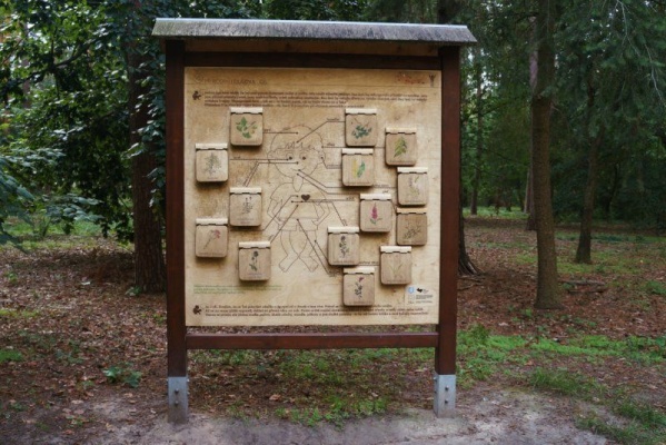 Veverčí stezka park Štěpánka