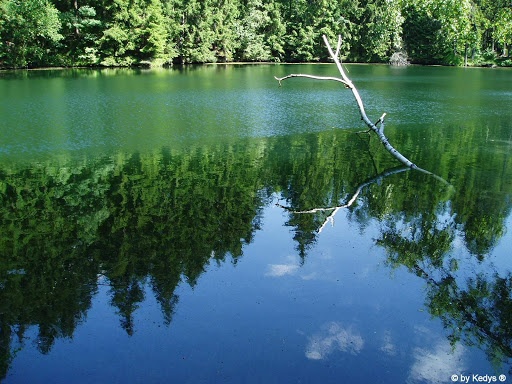 Toulání kolem jezírka Vápenice