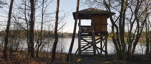 Ptačí pozorovatelna