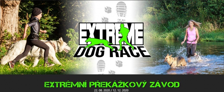 Extreme Dog Race