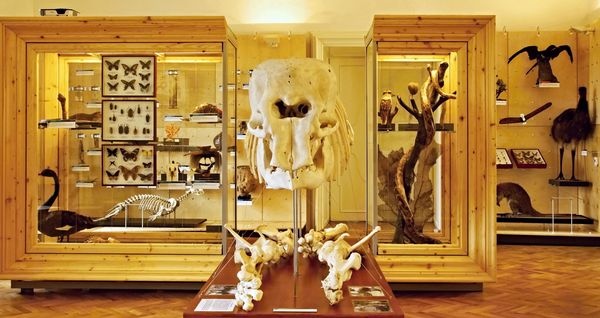 Zoologická expozice Zvířata na zemi a člověk na hradě Malenovice