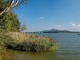 Máchovo jezero