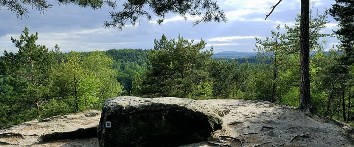 turistická trasa Ptačí kámen - Šaunštejn