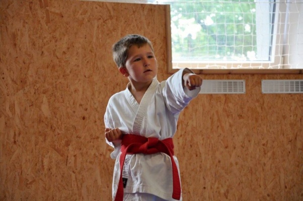 Karate-sportovní oddíl Gryf