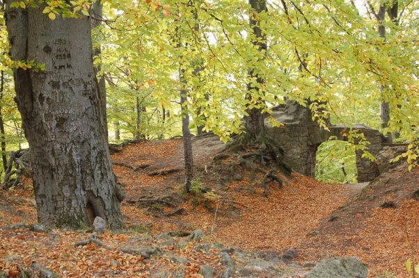 Naučná stezka Hradisko