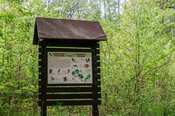 Naučná stezka Jelení žlíbek u Brněnské přehrady