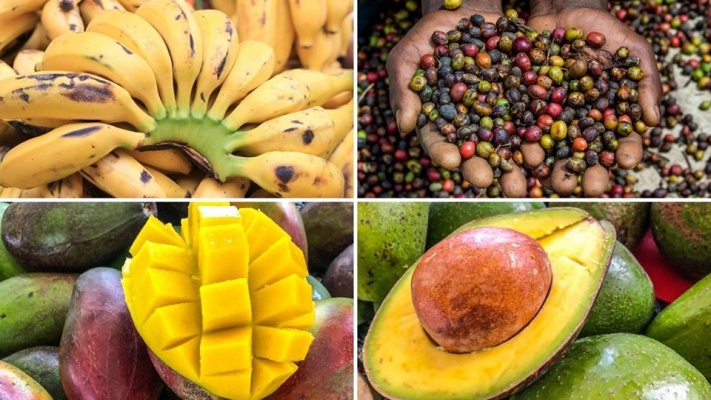 Africké farmářské trhy