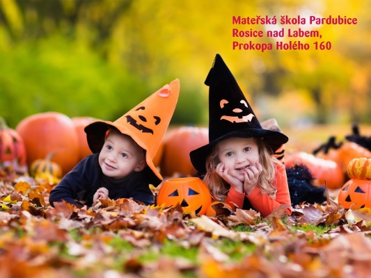 Mateřská škola Rosice