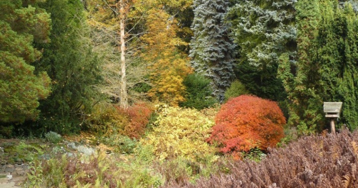 Arboretum Bílá Lhota