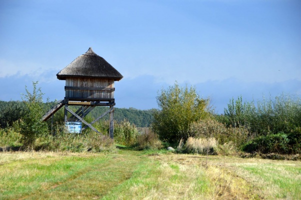 Ornitologická pozorovatelna Bohdanečský rybník