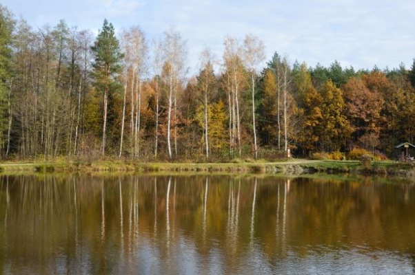 Rybník Češík