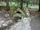 studánka Lesní vřídlo