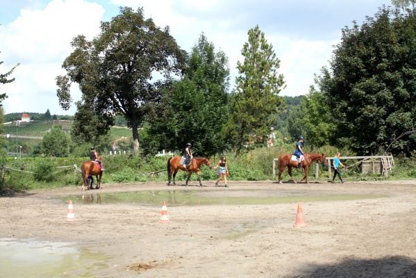 Příměstský tábor s koňmi pro děti a dospívající - Praha 7