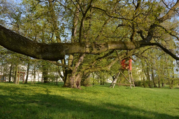 Zámecký park Kačina