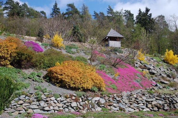 Arboretum Makču Pikču Paseka