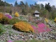 Arboretum Makču Pikču Paseka